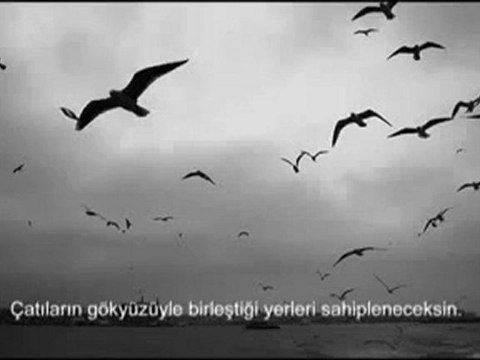 Can Yücel - Bağlanmayacaksın