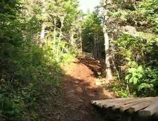 Riding She Heights DH Trails