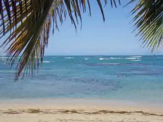 Online Trade Schools - Who Else Wants to Finally Get Profit