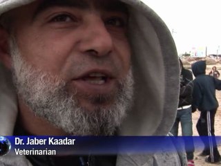 West Bank donkeys find Safe Haven in war zone