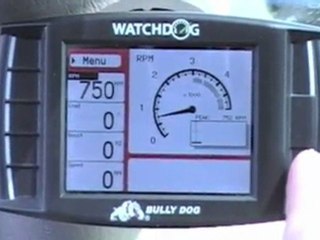 Bullydog Watchdog in action