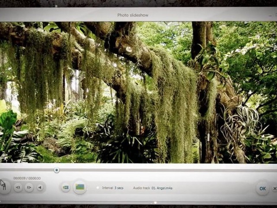 Freemake Video Converter 2.1 (ISO, subtitles, DVD folder)