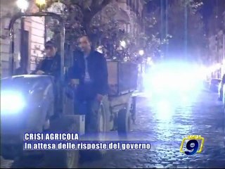 CRISI AGRICOLA. In attesa delle risposte del governo