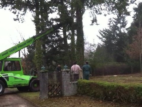 Coupe des sapins: Tracteurs-tracto-élévateur