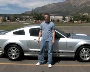 Mustang Wheel Cleaning