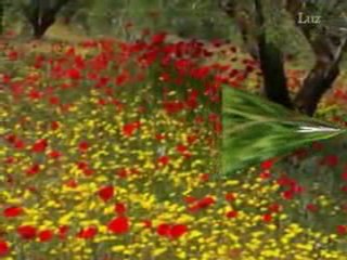 Can Yücel - Ateş ile suyun hikayesi