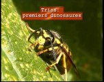 Les ancêtres des insectes (HQ)