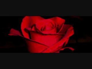 Fon Müzik: Sen Gidince Şiiri