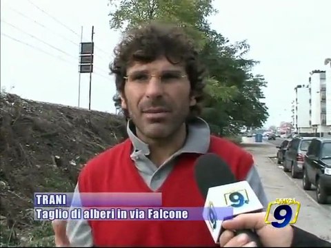 TRANI. Interrotto il taglio degli alberi in via Falcone