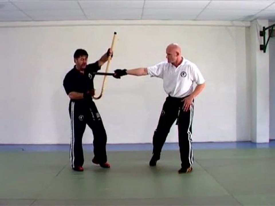 Canne de combat tutorial demo