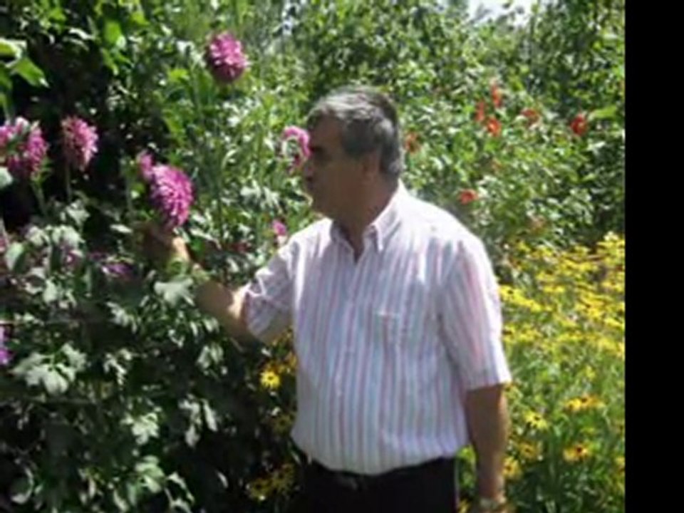 NE ANLAMI VAR ŞİİR AHMET KAYTANCI