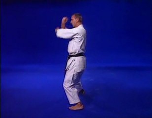 Karate entrainement kata supérieurs