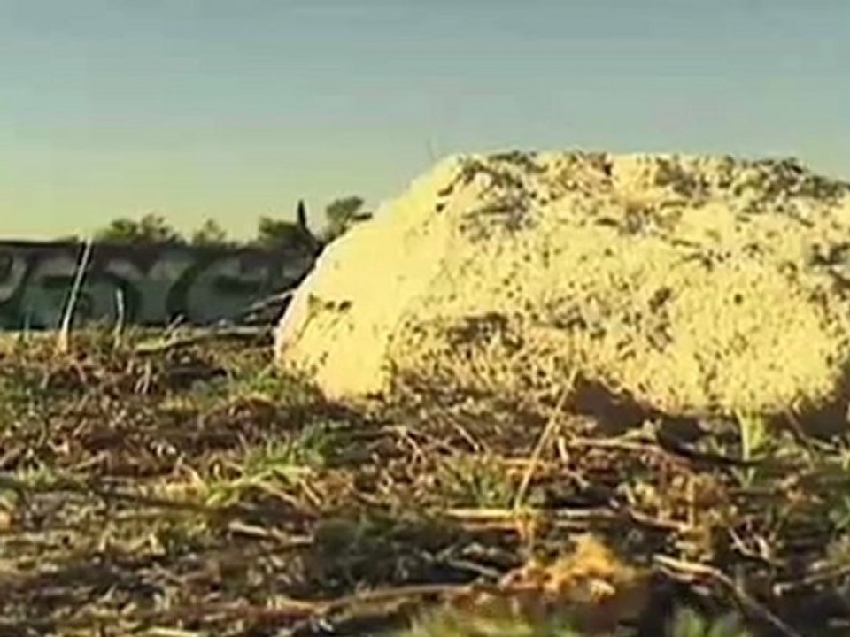 TRICKTIP: SWITCH BACKSIDE SMITH GRINDS WITH BRIAN WENNING