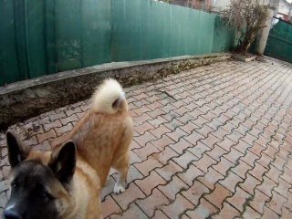 2011-01-22 - Sur la terrasse