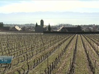 Vues sur le Lac du 18 février 2011