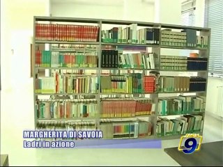 MARGHERITA DI SAVOIA. Ladri in azione alla biblioteca comunale