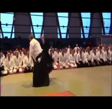 Aikido Traditionnel à Auxerre (89) avec Alain PEYRACHE