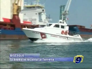 BISCEGLIE. Schiuma in localita' "La Torretta"