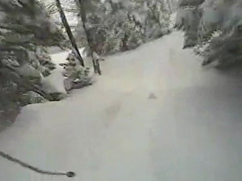 POV Powder Skiing at Jackson Hole