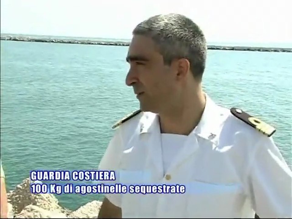 BARLETTA. 100 Kg di agostinelle sequestrate dalla guardia costiera
