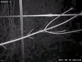 Positionen mit der IN 3010 abfahren.