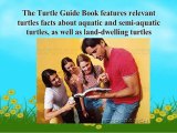 Get A Lot of Turtles Facts with The Turtle Guide Book