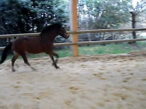 Quazac saut en liberté 18/02/2011