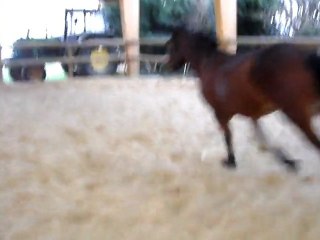 Quazac saut en liberté 18/02/2011 (2)