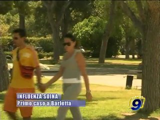 INFLUENZA SUINA. Primo caso a Barletta