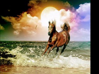 Wonderful Life - BLACK