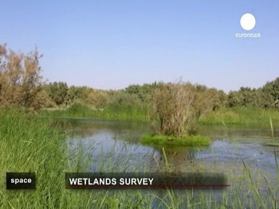 Satellites, swamps and solutions