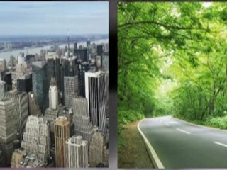 International Marketing Strategies