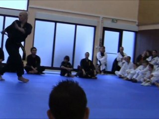 [Nam-Ho-Quyen] Kim Long Quyen par Romain