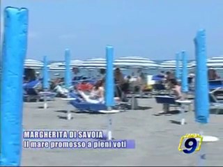 MARGHERITA DI S. Il mare promosso a pieni voti