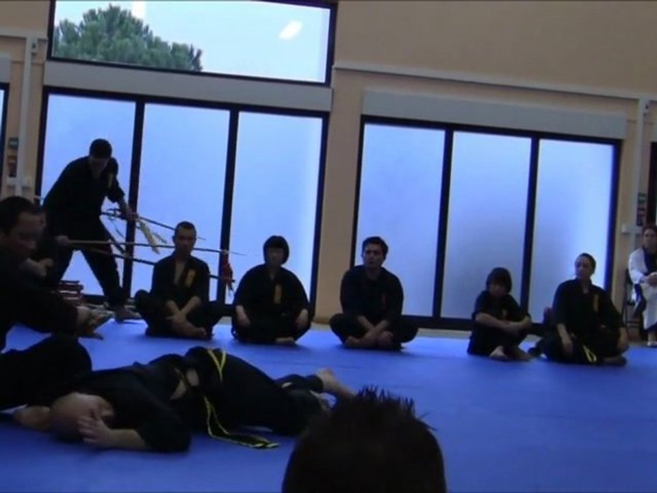 [Nam-Ho-Quyen] Techniques de combats par Vo-Su Dang-Van-Sung