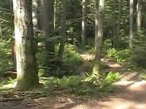 trail riding