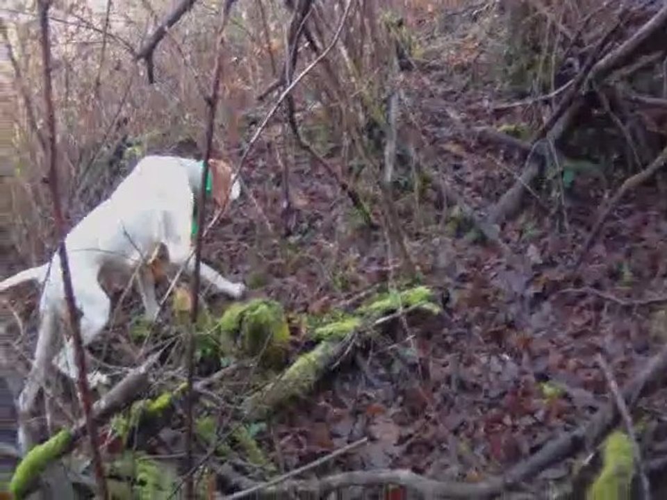 Divine et Eden à la bécasse