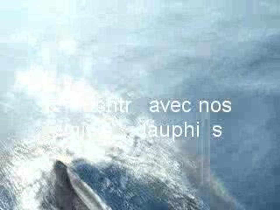 Vidéodauphins