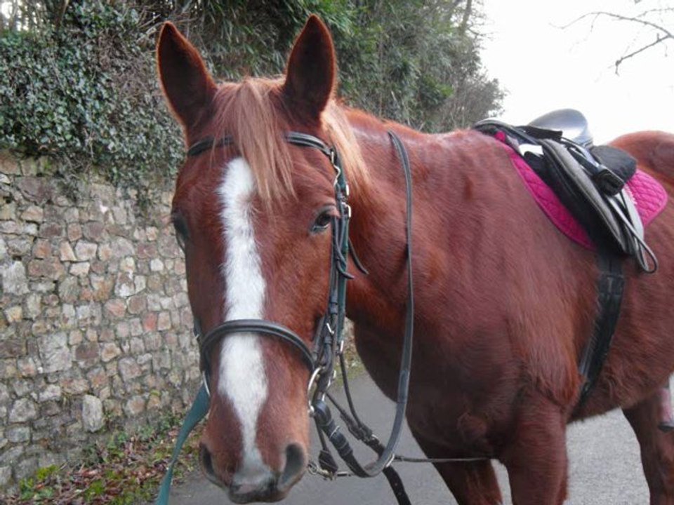 VENDREDI 17FEVRIER 2011