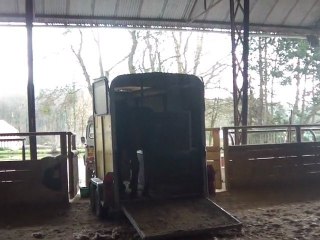 15.02.2011 Degré 2 Ténébra