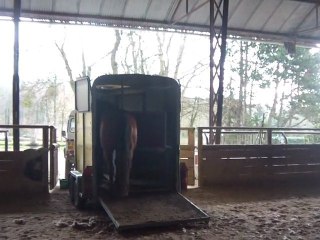 15.02.2011 Degré 2  Ténébra