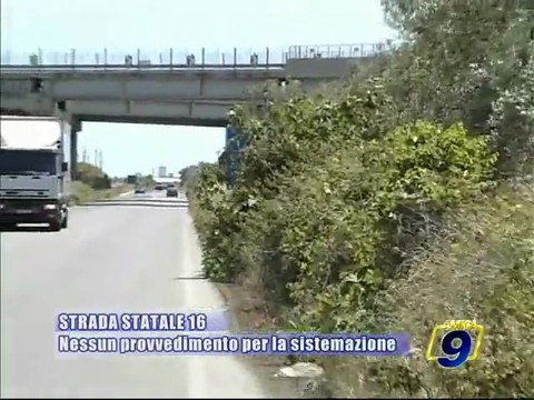 STRADA STATALE 16. Nessun provvedimento per la sistemazione del manto stradale