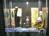 TRINITAPOLI.  Conclusa la Prima Rassegna del Cinema Archeologico
