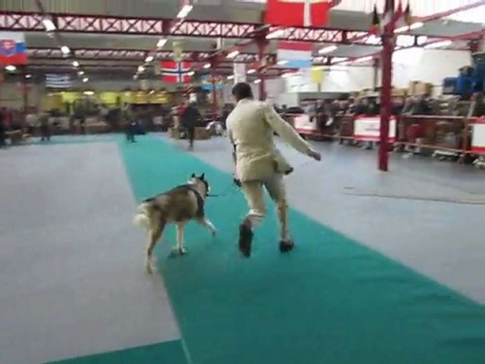 Player ring d'honneur vétéran Mouscron 2011