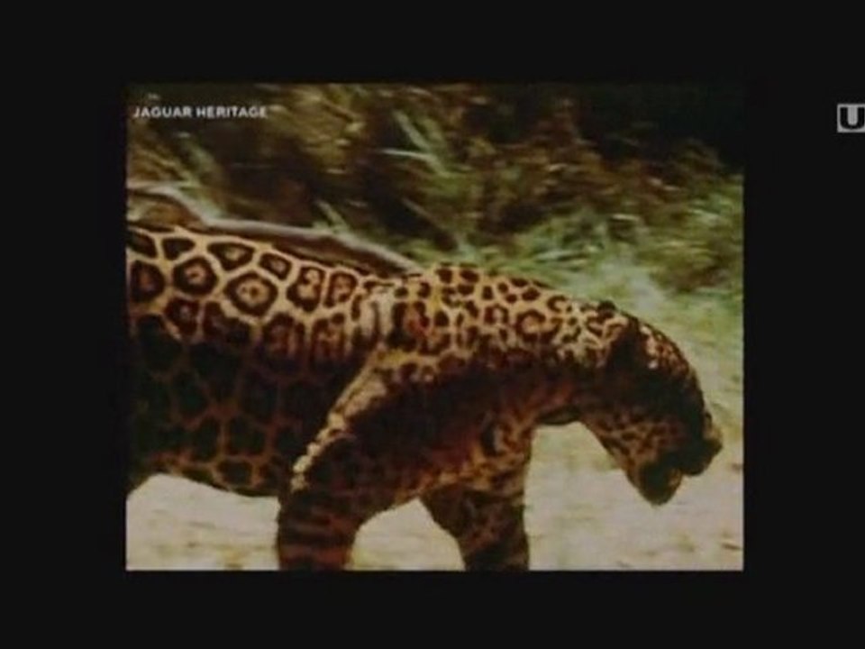 50 Jahre Jaguar e-Type