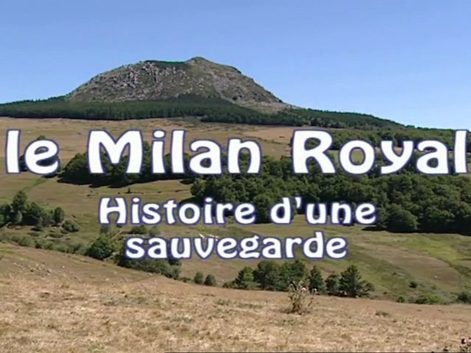 Le Milan royal - Histoire d'une sauvegarde