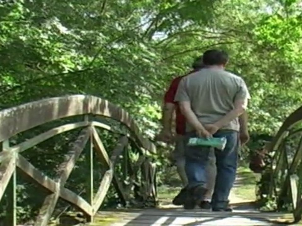 Découvrez Arçais en Deux-Sévres dans le Marais Poitevin