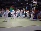 Taekwondo challengers