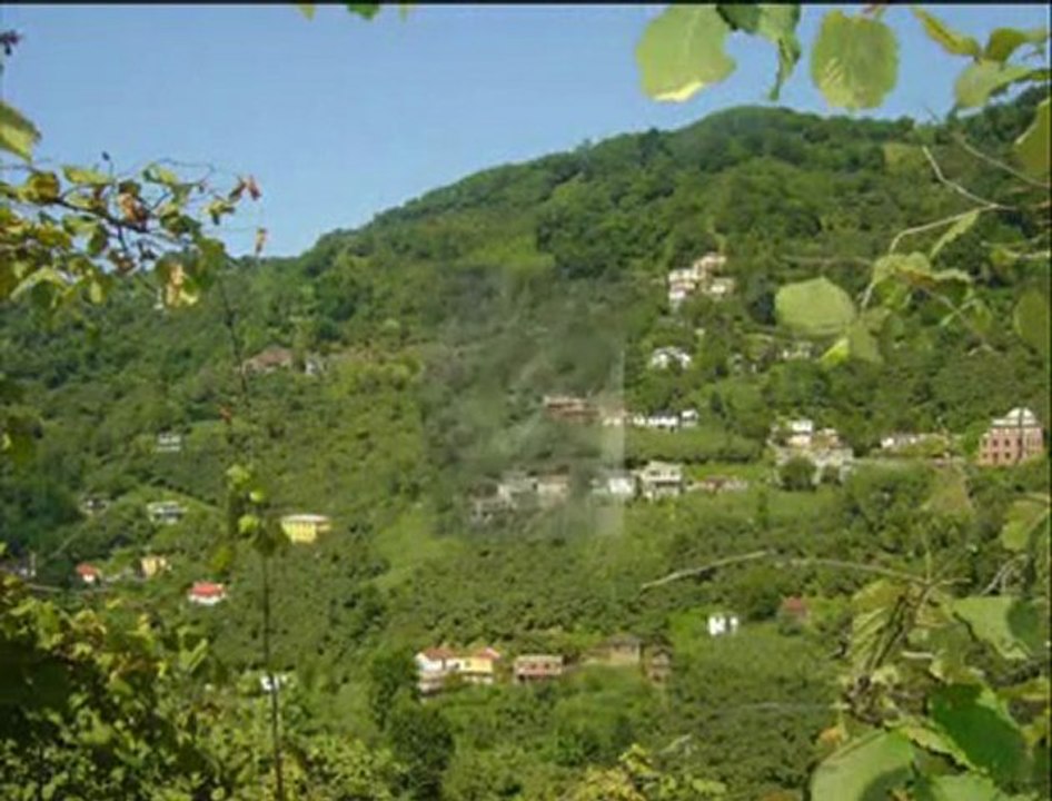 derekoy4