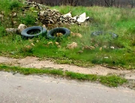 CORATO. Legambiente denuncia gli abusi del 2009